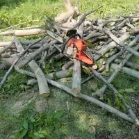 کار با اره موتوری