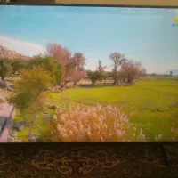 ال ایدی 50الجی 4Kنانو
