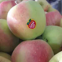 نیرو نیمه وقت میوه فروشی