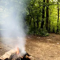 فروش باغ با متراژ دلخواه به علت مهاجرت
