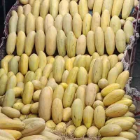 شاگرد شیفت شب میوه فروشی