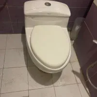 روشویی، درب، توالت فرنگی شیر