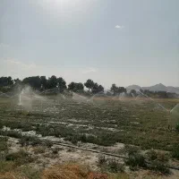 فروش سیستم آبیاری بارانی