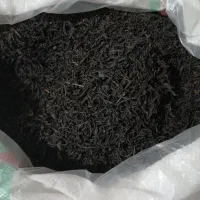 چای  ممتاز بهاره لاهیجان
