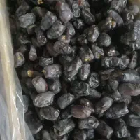 خرما مضافتی بم فله 5کیلوی