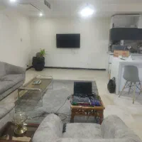 ۵۵متری نقلی سند دار کد رهگیری دریاچه چیتگر