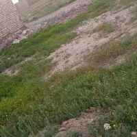زمین-فروشی