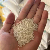 لاشه برنج هاشمی بسته بندی و سورتینگ شده