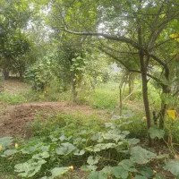 ۳۲۸ متر کاملا مسکونی لله کا