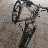 دوچرحه