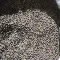 عدس ریز|خوردنی و آشامیدنی|باشت, |دیوار