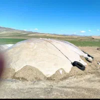 فروش کاه و یونجه