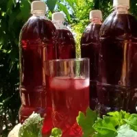 شربت شاتوت