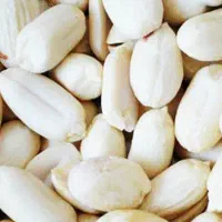 فروش بادام سفید با پوست