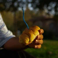 عکاسی خیابانی