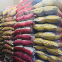 برنج پاکستانی ۱۱۲۱ گدیب باها الما