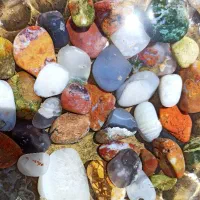 یه تغییر اساسی به دکور آکواریومت بده
