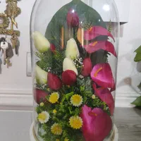 گل باکسی