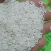 برنج پنج درصد پاکستانی سراسر ایران