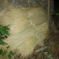 کلوش ، کاه
