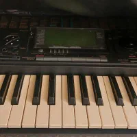 ارگ یاماها