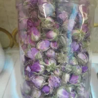 غنچه گل محمدی ارگانیک محصول باغ خودمه