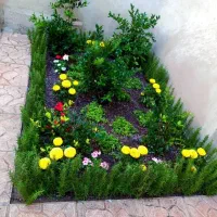 خدمات باغبانی ویژه عید نوروز 20درصدتخفیف