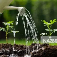 خریدار آب ملکی چاه گلستان