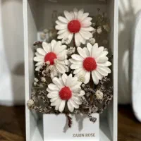 باکس گل بابونه