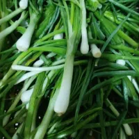 سبزی