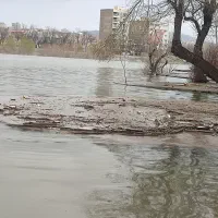 دنبال کار کارگری هستم.
