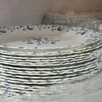 بشقاب برنج خوری ارکوپال امارات