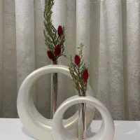 انواع گلدون و دکوری ( هدیه و دکور )