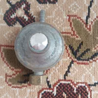 گلدان|گل و گیاه طبیعی|بروجرد, |دیوار