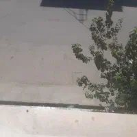 300متر-زمین-پرنیان-انفرادی
