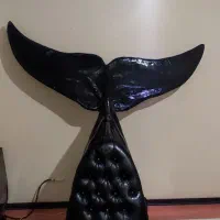 صندلی دلفین