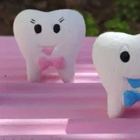 پذیرش تعدادی اهدا تخمک و رحم جایگزین