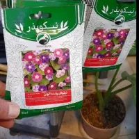 بذر نیلوفر رونده الوان