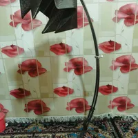 آباژور ایستاده سالم