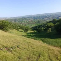 فروش زمین کشاورزی سند دار  جوانرود( ۱۲ هکتار)