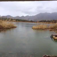 فروش دامداری و زمین مجاور ان