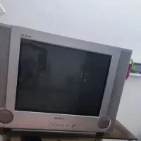 تلویزیون