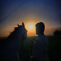 اسب|اسب و تجهیزات اسب‌سواری|تربت‌حیدریه, کاشانی|دیوار