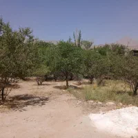 فروش-زمین-محله-راحت-آباد-منشاد-یزد-250-متری