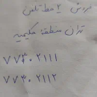 خط تلفن