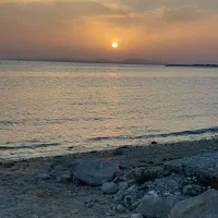 فروش زمین بر بلوار ساحلی