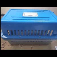 باکس گربه در حد نو