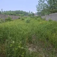 علف زنی با دستگاه و سم پاشی