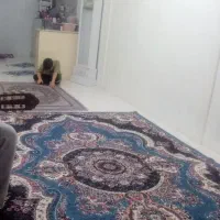سلام یک فرش تک شش مترب