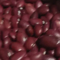 لوبیا قرمز